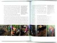 ROSBOKEN &ndash; F&ouml;r dig som dr&ouml;mmer om rosor