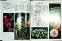 ROSOR F&Ouml;R NORDISKA TR&Auml;DG&Aring;RDAR &ndash; Del 2: Rosval, anv&auml;ndning, sk&ouml;tsel