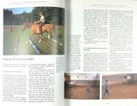 DANSA MED H&Auml;STAR &ndash; Kommunikation genom kroppsspr&aring;k &ndash; Samlad ridning p&aring; h&auml;ngande tygel