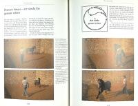 DANSA MED H&Auml;STAR &ndash; Kommunikation genom kroppsspr&aring;k &ndash; Samlad ridning p&aring; h&auml;ngande tygel