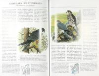 F&Aring;GLARNA I NORDEN