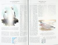 F&Aring;GLARNA I NORDEN