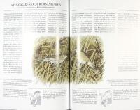 F&Aring;GLARNA I NORDEN