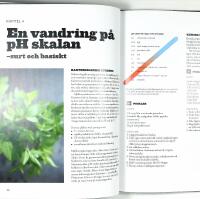 DEN TEKNISKE KOCKENS experimentella kokbok &ndash; 117 kemiska experiment i k&ouml;ket