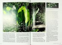 SOL eller SKUGGA &ndash; Torrt, fuktigt, bl&aring;sigt eller skyddat l&auml;ge &ndash; Tr&auml;dg&aring;rdsplanering p&aring; v&auml;xternas villkor