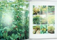 OAXEN SK&Auml;RG&Aring;RDSKROG &ndash; 101 recept med sk&auml;rg&aring;rdens r&aring;varor; aborre, g&ouml;s, g&auml;dda, lax, piggvar, sk&auml;rg&aring;rdslamm samt desserter