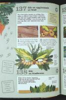 365 UTOMHUSAKTIVITETER i Sverige