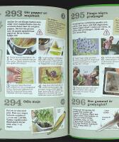 365 UTOMHUSAKTIVITETER i Sverige