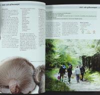 SVAMPAR &ndash; du kan &auml;ta