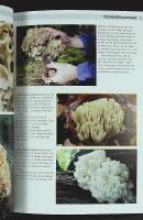 SVAMPAR &ndash; du kan &auml;ta