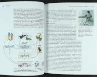 An Introduction to CONSERVATION BIOLOGY
