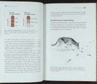 ETOLOGI F&Ouml;R HUND&Auml;GARE &ndash; Om retningar, beteenden och mentala egenskaper hos v&aring;rt &auml;ldsta husdjur