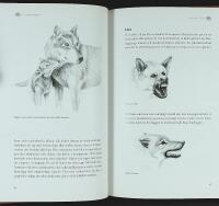 ETOLOGI F&Ouml;R HUND&Auml;GARE &ndash; Om retningar, beteenden och mentala egenskaper hos v&aring;rt &auml;ldsta husdjur