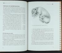 ETOLOGI F&Ouml;R HUND&Auml;GARE &ndash; Om retningar, beteenden och mentala egenskaper hos v&aring;rt &auml;ldsta husdjur