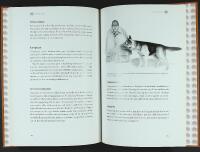 ETOLOGI F&Ouml;R HUND&Auml;GARE &ndash; Om retningar, beteenden och mentala egenskaper hos v&aring;rt &auml;ldsta husdjur