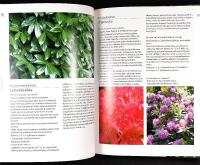 VARJOKASVIT &ndash; Runsautta ja hehkua puutarhaan