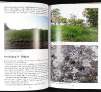 Resta & liggande STENAR P&Aring; S&Ouml;DERSL&Auml;TT