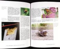 N&Auml;RNATURBOKEN &ndash; Id&eacute;er f&ouml;r att utveckla biologisk m&aring;ngfald