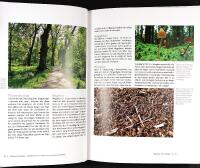 N&Auml;RNATURBOKEN &ndash; Id&eacute;er f&ouml;r att utveckla biologisk m&aring;ngfald