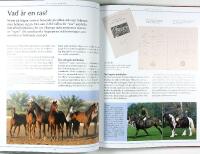 H&Auml;STAR &ndash; En Encyklopedi f&ouml;r ryttare och andra h&auml;stv&auml;nner