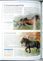 H&Auml;STAR &ndash; En Encyklopedi f&ouml;r ryttare och andra h&auml;stv&auml;nner