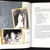 SL&Auml;KTFORSKNING &ndash; V&auml;gen till din egen historia