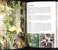 ETT EVIGT ODLANDE &ndash; Ett &aring;rsvarv om v&aring;rt gr&ouml;na arv