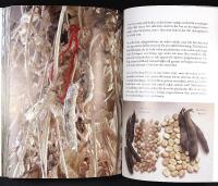 ETT EVIGT ODLANDE &ndash; Ett &aring;rsvarv om v&aring;rt gr&ouml;na arv