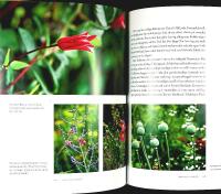 CHELSEA FLOWER SHOW och ber&ouml;mda engelska tr&auml;dg&aring;rdar