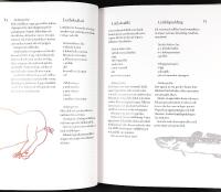 J&Auml;RNSPISAR, HACKEKORV & TABBERAS &ndash; 164 recept ur Astrid Lindgrens v&auml;rld