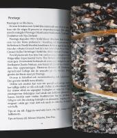 VILKEN DRUVA PASSAR MIG?