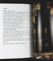 VILKEN DRUVA PASSAR MIG?