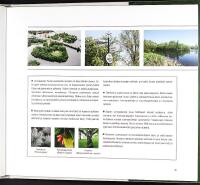 PUISTOJEN OULU  &ndash; (Parker i Ule&aring;borg)