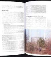 DET GR&Ouml;NA FINRUMMET &ndash; Etnicitet, friluftsliv och naturumg&auml;ngets urbanisering