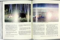 VARGEN &ndash; Den jagade j&auml;garen