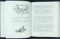 VEMS LILLA M&Ouml;SSA FLYGER &ndash; Samlingsvolymen