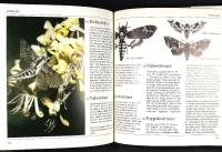 FJ&Auml;RILAR I SVERIGE