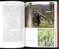 D&Auml;R VINDELFJ&Auml;LLEN TAR VID