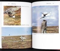 D&Auml;R VINDELFJ&Auml;LLEN TAR VID