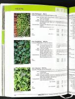 BRUNS Pflanzen – Catalogue of trees and shrubs