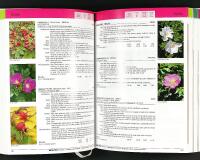 BRUNS Pflanzen – Catalogue of trees and shrubs