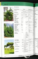 BRUNS Pflanzen – Catalogue of trees and shrubs