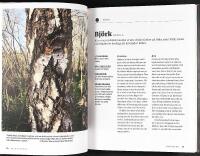 VILDPLOCKAT &ndash; &Auml;tliga &ouml;rter, blad, blommor, b&auml;r och svampar fr&aring;n den svenska naturen