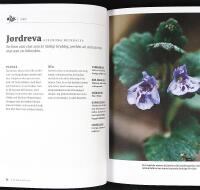 VILDPLOCKAT &ndash; &Auml;tliga &ouml;rter, blad, blommor, b&auml;r och svampar fr&aring;n den svenska naturen