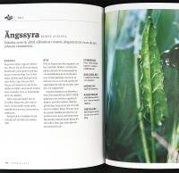 VILDPLOCKAT &ndash; &Auml;tliga &ouml;rter, blad, blommor, b&auml;r och svampar fr&aring;n den svenska naturen