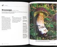 VILDPLOCKAT &ndash; &Auml;tliga &ouml;rter, blad, blommor, b&auml;r och svampar fr&aring;n den svenska naturen
