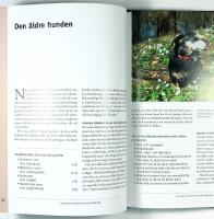 LEDARSKAP SOM DIN HUND F&Ouml;RST&Aring;R