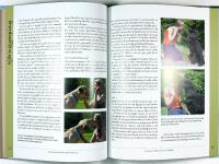 LEDARSKAP SOM DIN HUND F&Ouml;RST&Aring;R