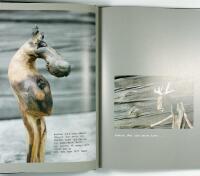 VILDHJ&Auml;RTA &ndash; En k&auml;r lek mellan m&auml;nniska och skog