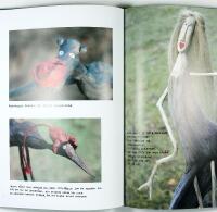 VILDHJ&Auml;RTA &ndash; En k&auml;r lek mellan m&auml;nniska och skog